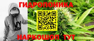 ГАЛЛЮЦИНОГЕННЫЕ ГРИБЫ Коммунар