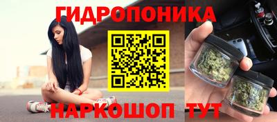 ГАЛЛЮЦИНОГЕННЫЕ ГРИБЫ Коммунар